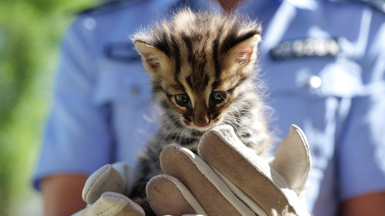 图片 2.png 图片 2.png