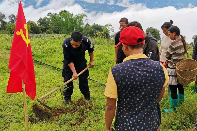 图片 5.png 图片 5.png