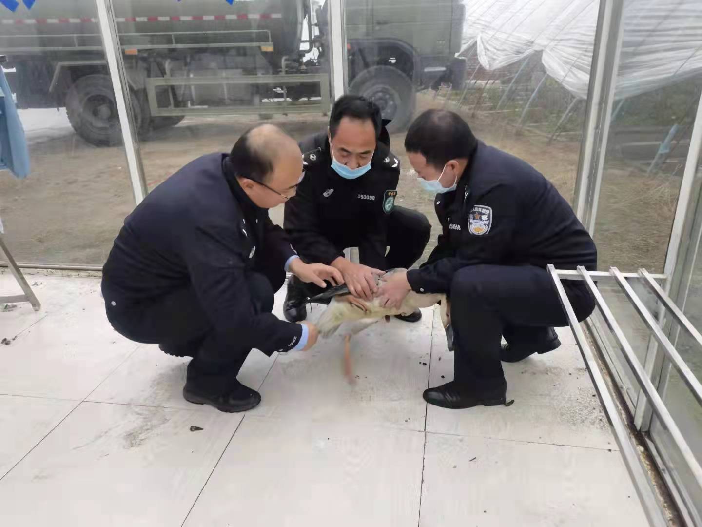 图片 2.jpg 图片 2.jpg