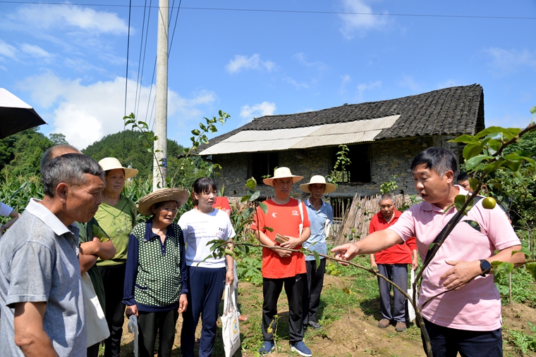 7月27日，在三岔镇三岔口社区梨儿坪组，市农广校“农技保姆”正在田间“传授”农技。.jpg