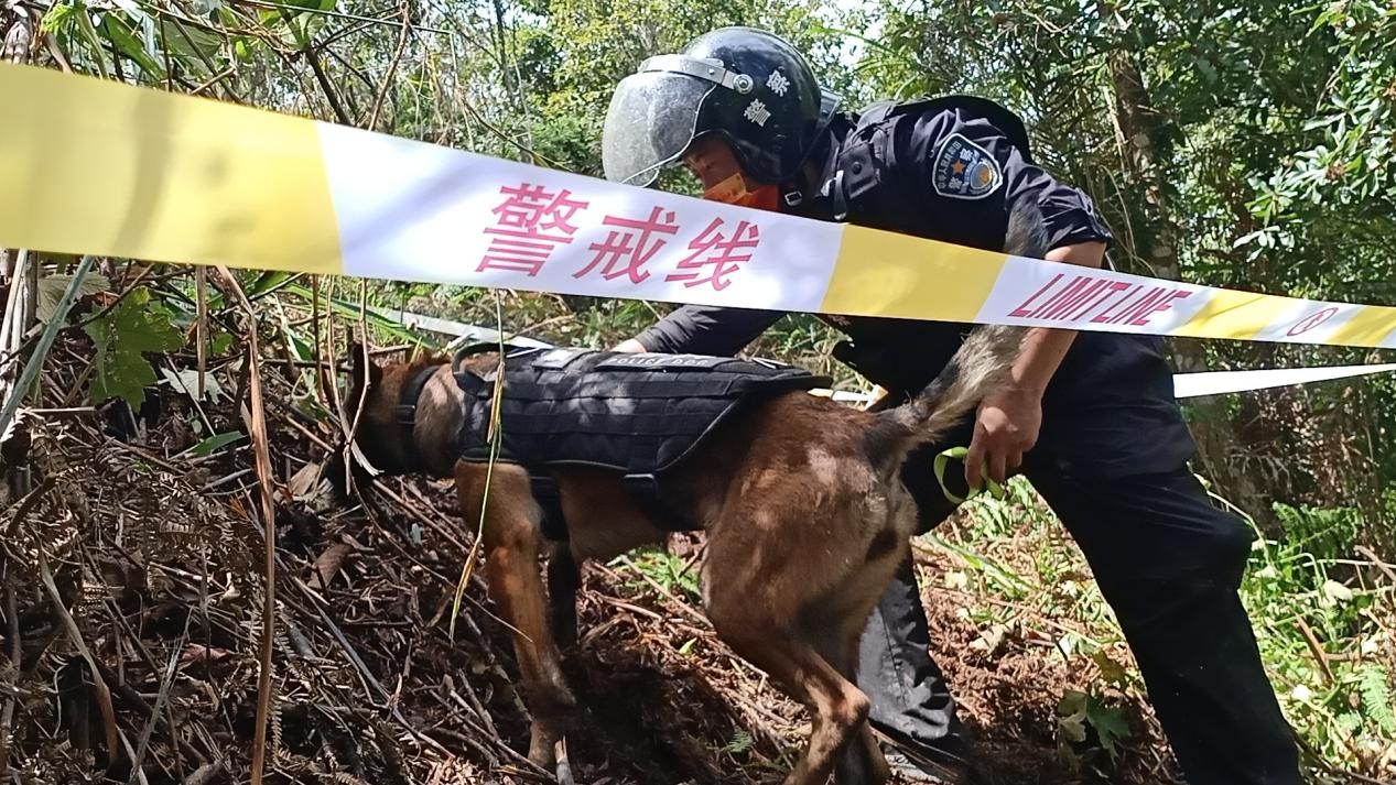 图片 5.jpg 图片 5.jpg