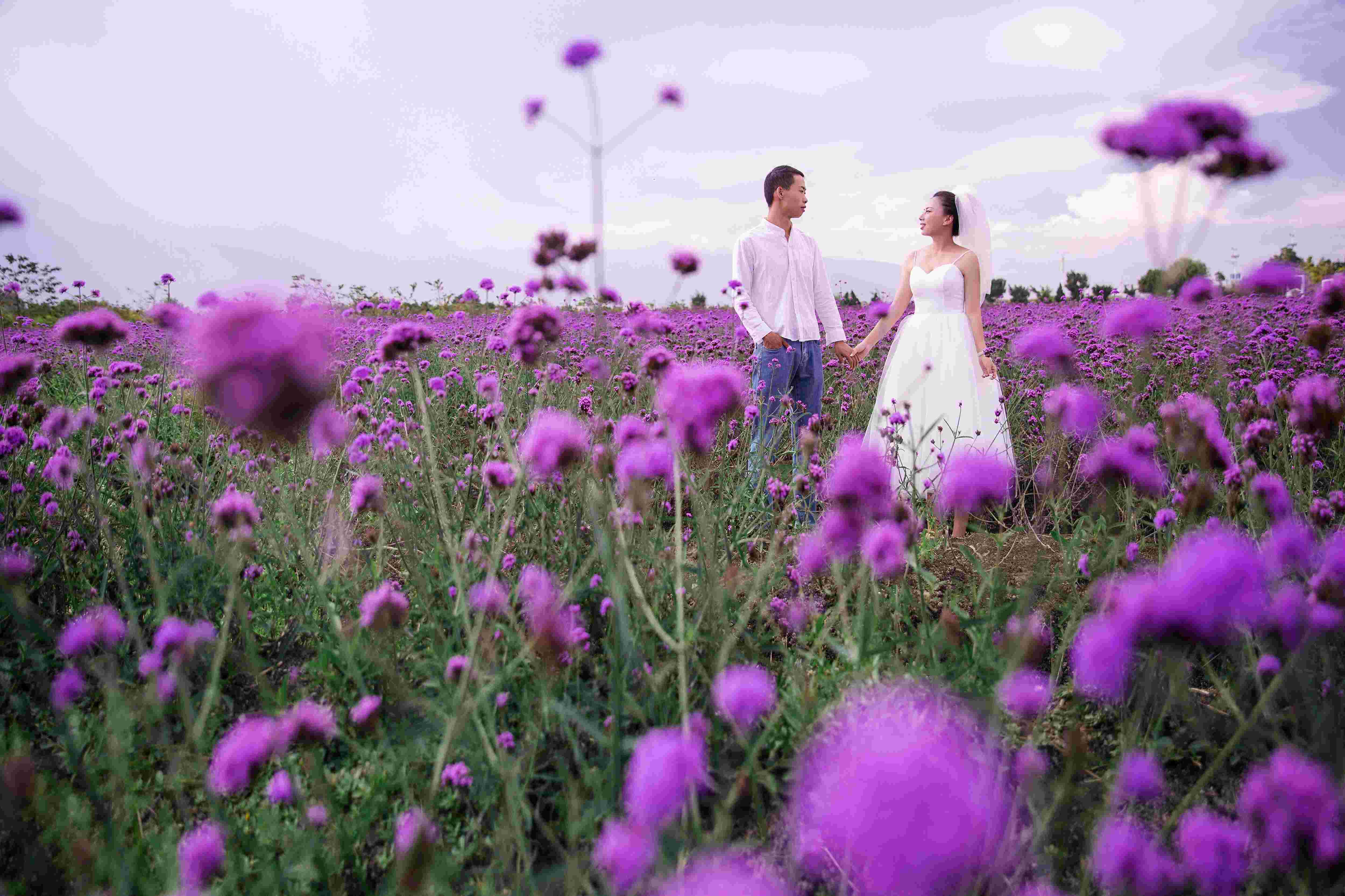 图片 3.jpg 图片 3.jpg