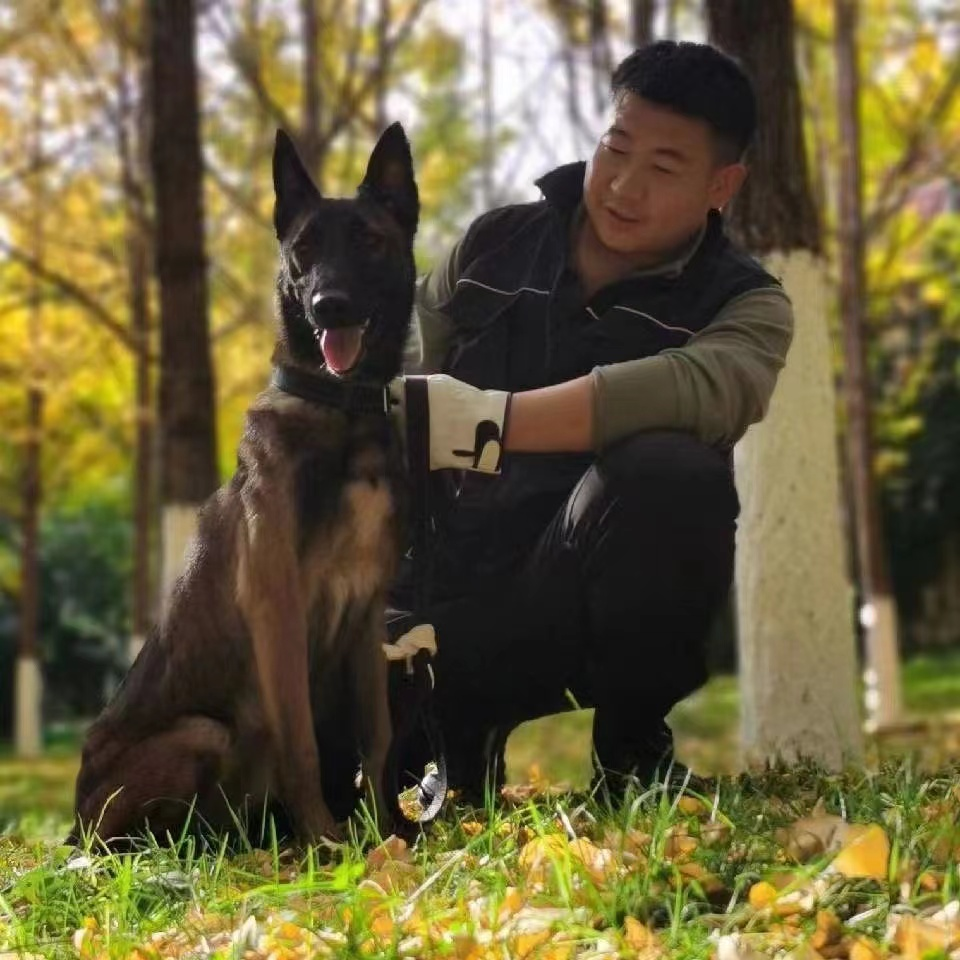 图片 1.png 图片 1.png