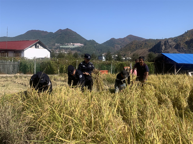 图片 4.png 图片 4.png