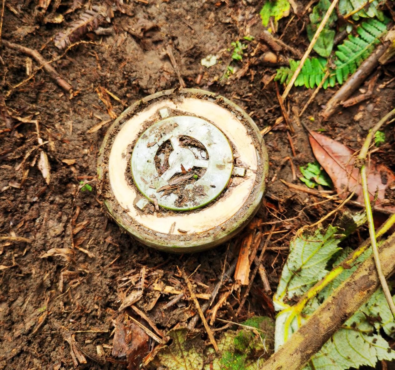 图片 4.jpg 图片 4.jpg