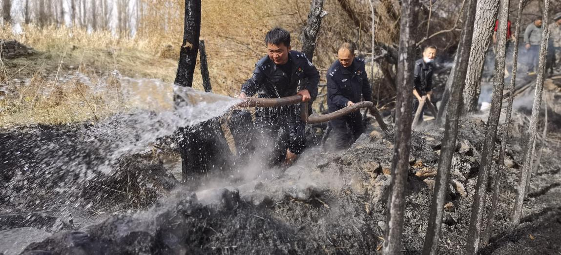 图片1.png 图片1.png