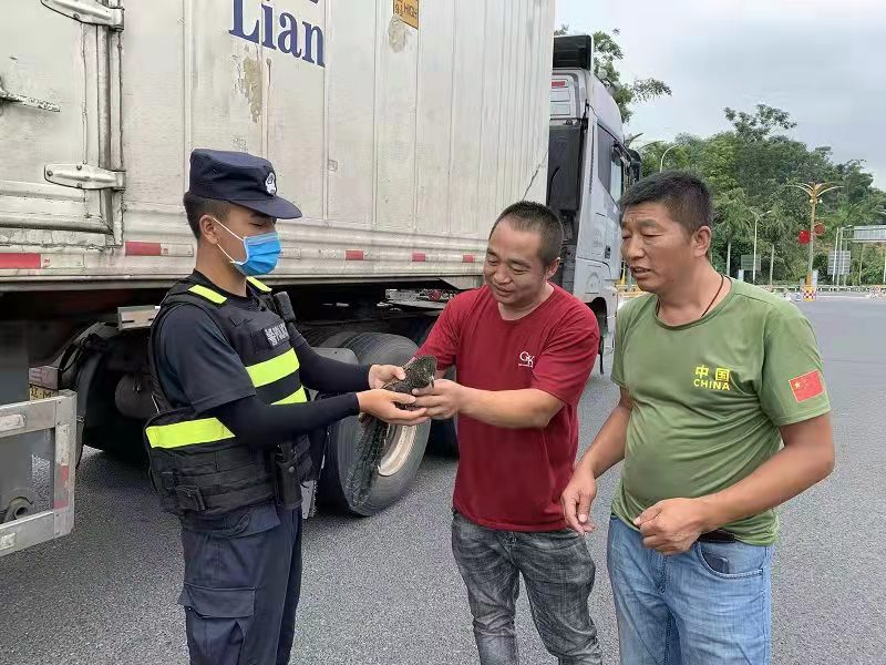 图片 4.png 图片 4.png