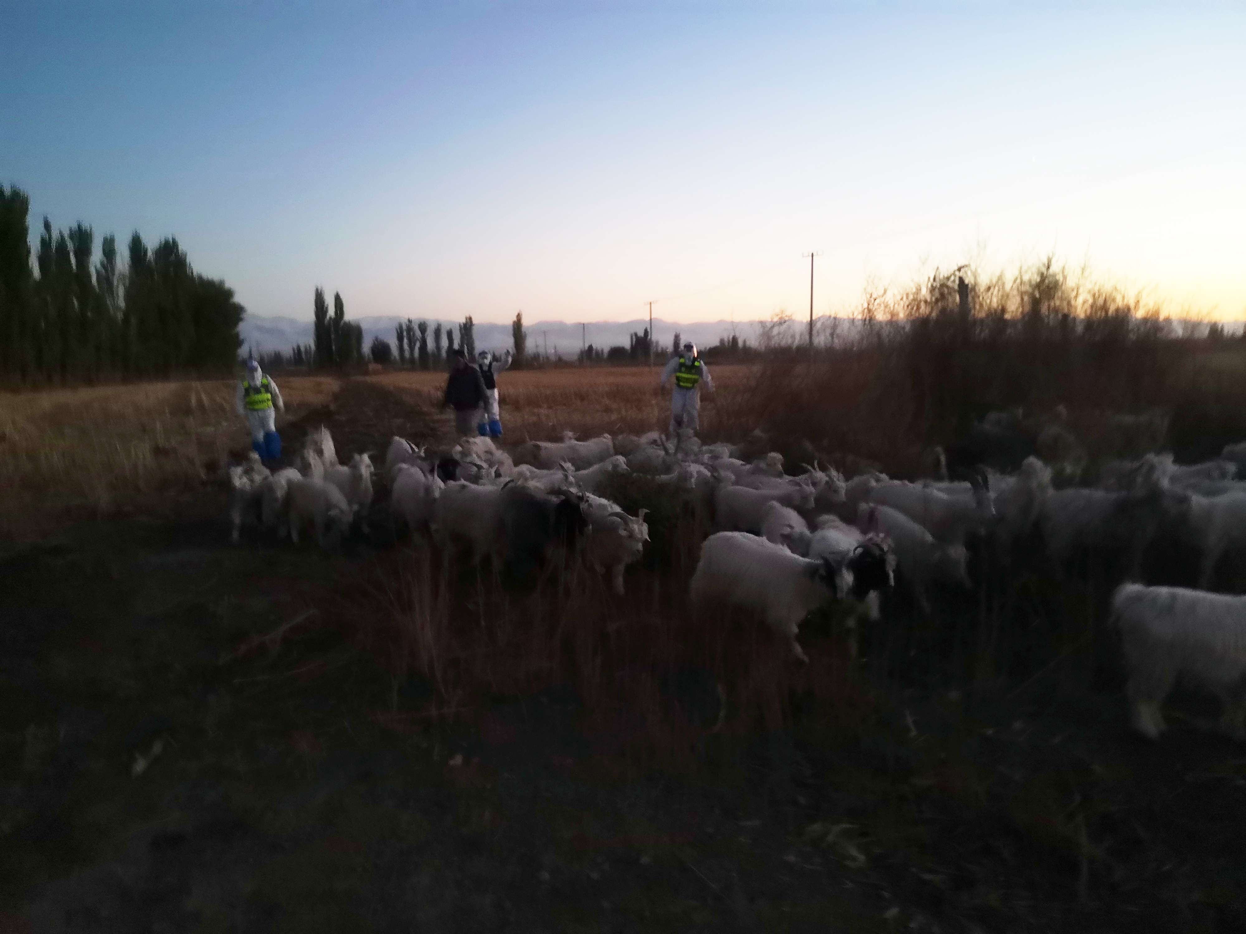 图片 1(1).jpg 图片 1(1).jpg