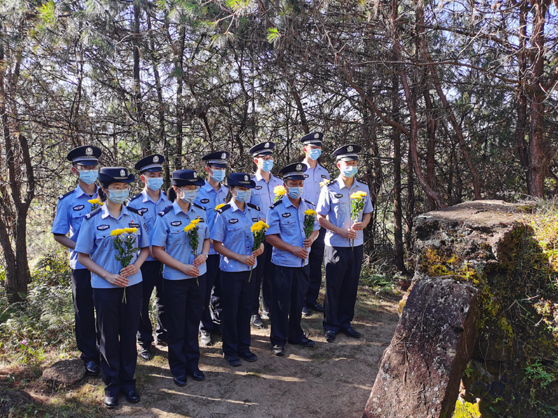 图片 3.png 图片 3.png