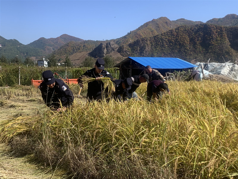 图片 3.png 图片 3.png