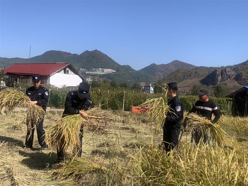 图片 5.png 图片 5.png