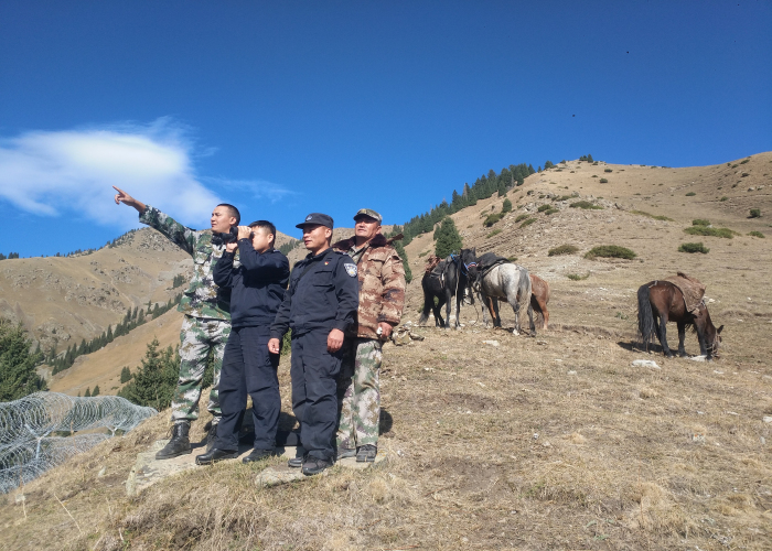 图片 4.png 图片 4.png