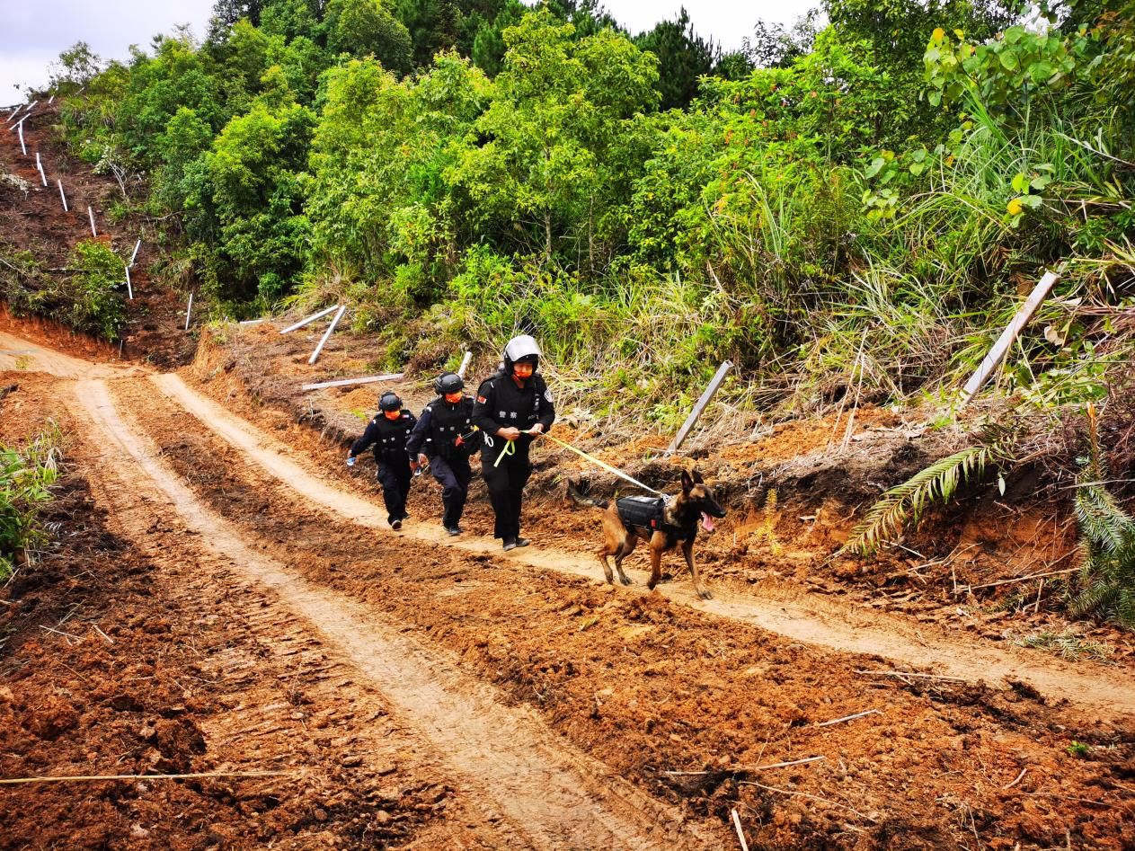 图片 3.jpg 图片 3.jpg