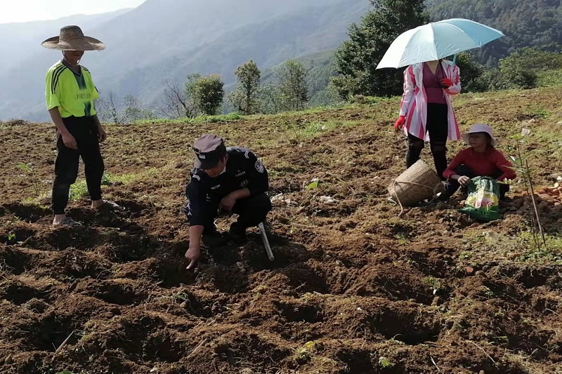 图片 6.png 图片 6.png