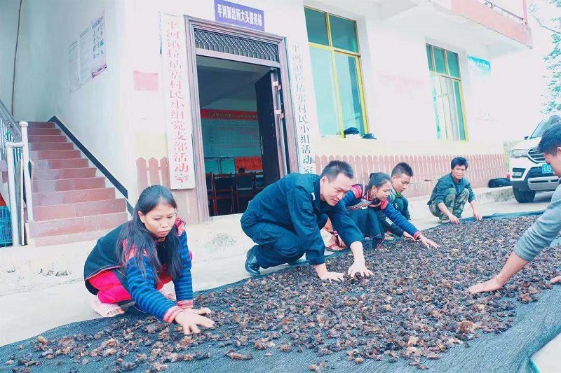 图片 2.png 图片 2.png