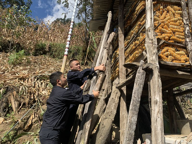 图片 2.png 图片 2.png