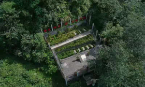 再见独龙江
