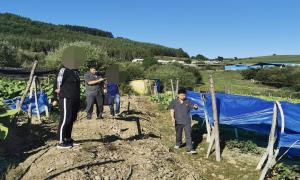 及时采取保全措施 保障当事人权利实现