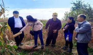 现场勘验厘边界 联动村警解纠纷