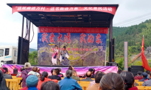 “送戏下乡”助推湖南大湾村乡村振兴