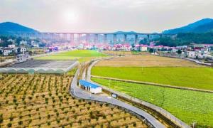 江西青山镇：因地制宜做活山水文章