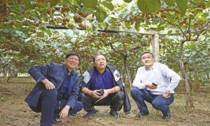 “为果农架起致富的金桥”