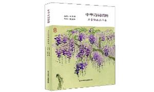 《中华诗词精粹》：诗画中国