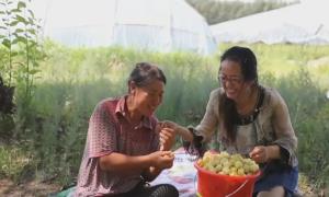 护住生态“碗” 谋求振兴路