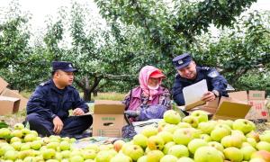 民警志愿服务忙 助农秋收解民忧