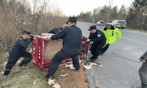 三轮车侧翻路边，幸好有他们