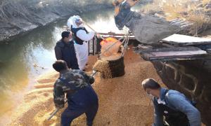 货车侧翻粮食散落一地 民警暖心救援挽回损失