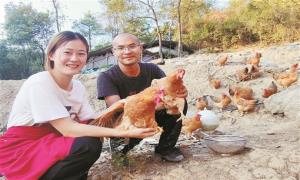 小情侣逐梦深山——湖南省中连乡“90后”段绍华返乡创业的故事