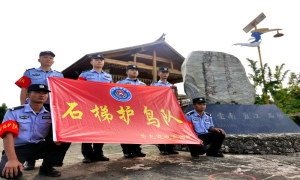 石梯护鸟队守护国境线上绿水青山