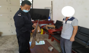 法制宣传深入人心 群众主动上交枪支