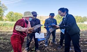 助农秋收暖民心 普法宣传解民忧