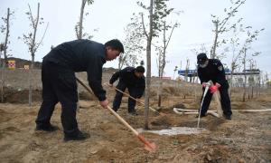 植树造林筑屏障  扎根边疆守国防