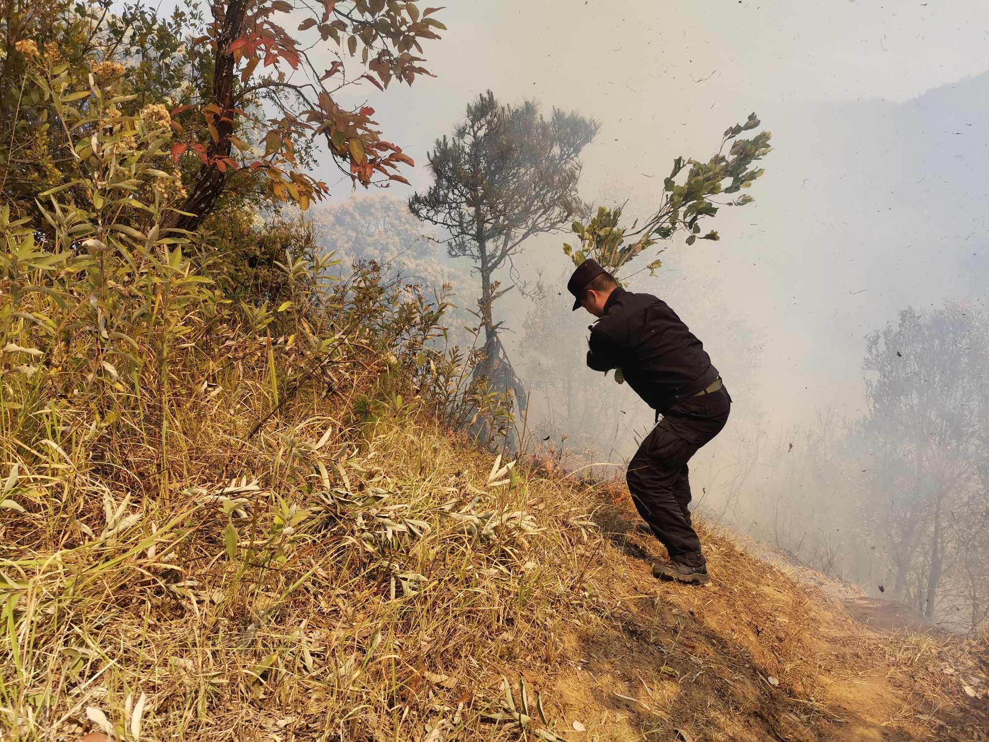 图片 4.jpg 图片 4.jpg