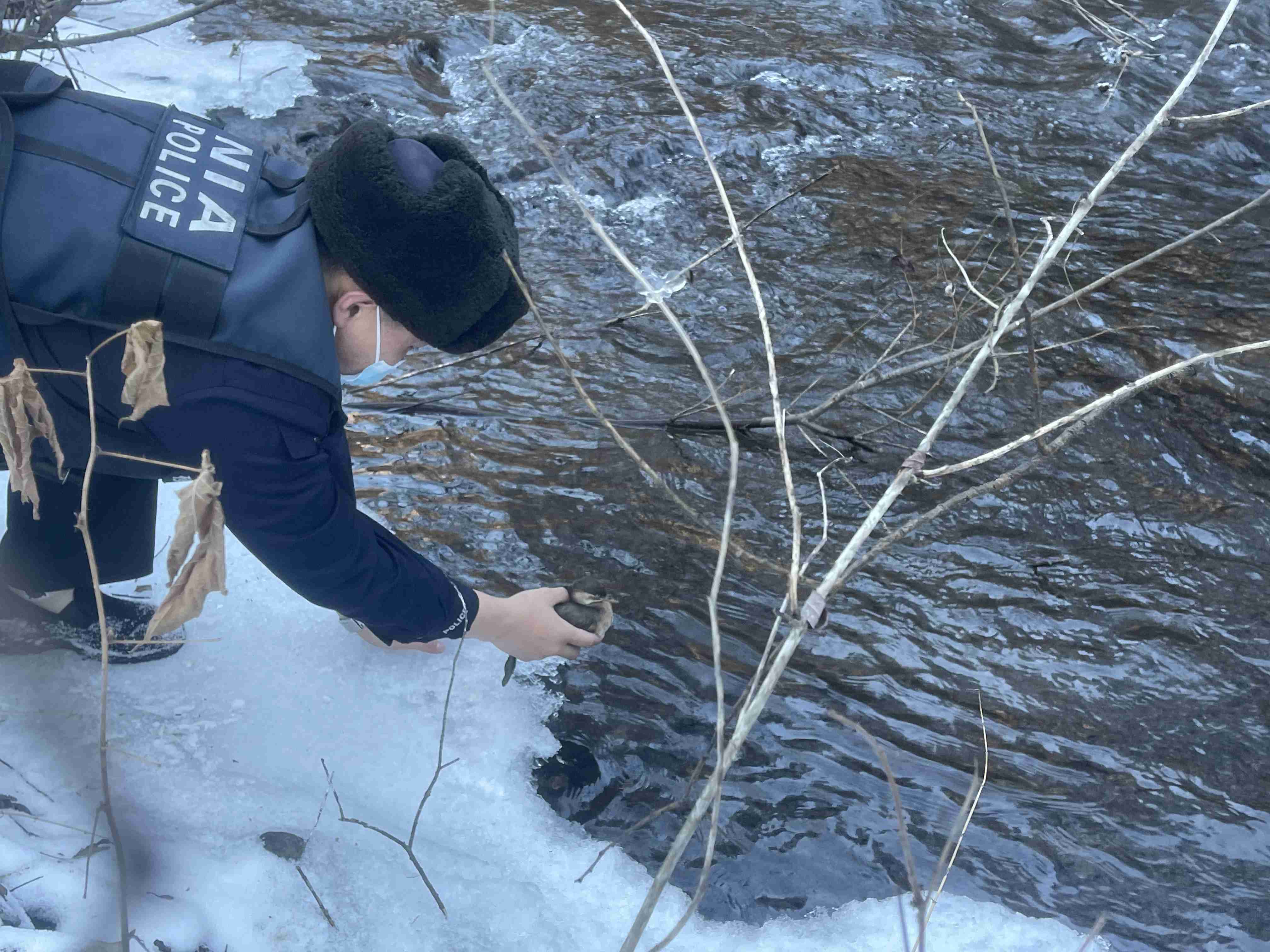 图片 2.jpg 图片 2.jpg