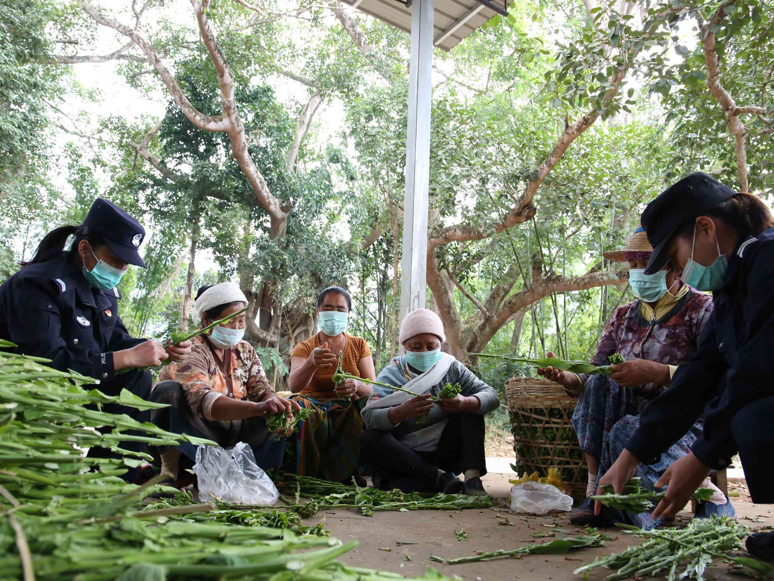 图片 4.jpg 图片 4.jpg