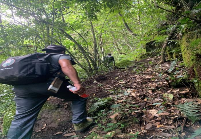 图片 5.png 图片 5.png