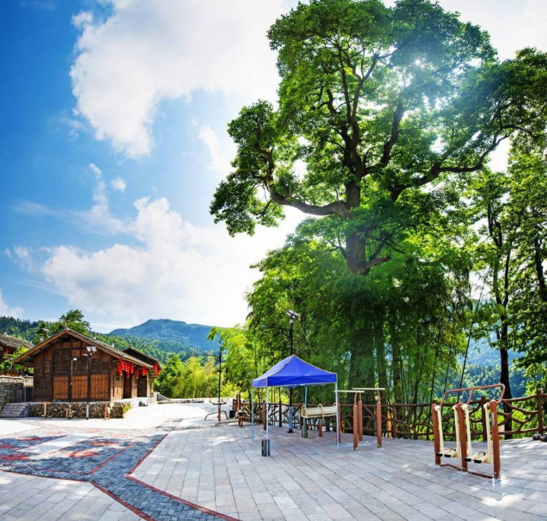 乡村2.png
