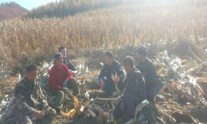 践行“枫桥”经验 打造最美“枫警”