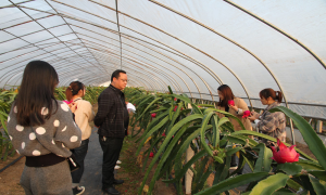 湖北石首法院：消费助农 助力乡村振兴