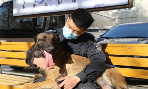 边检民警与它的“战友”