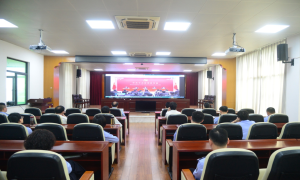 马村边检站组织收看党的十九届六中全会新闻发布会