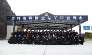 这一年，我们携亮点成绩单向您报告