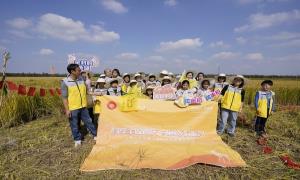 上海新村乡首届“稻田·星空”帐篷节来了