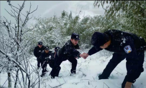 同心抗疫 肩上有责恋你在心