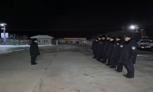 雪夜车辆栽进路沟 移民管理警察紧急救援