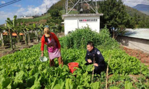 警营 “小菜园”喜获丰收